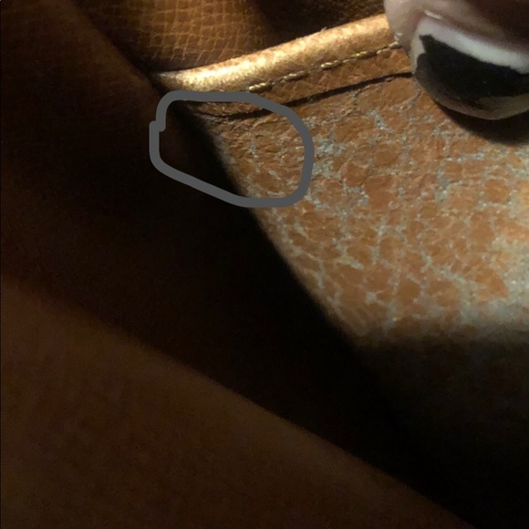 Louis Vuitton Danube Crossbody Bag - Picture 12 of 16